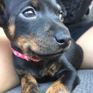 Meet your Posher, Olivia